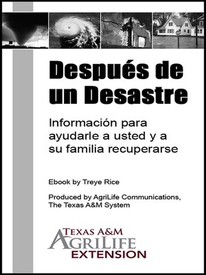 cover image of Después de un Desastre
